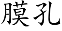 膜孔 (楷体矢量字库)