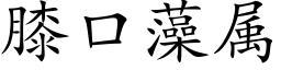 膝口藻屬 (楷體矢量字庫)