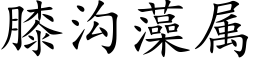 膝溝藻屬 (楷體矢量字庫)