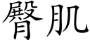 臀肌 (楷体矢量字库)