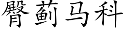 臀蓟马科 (楷体矢量字库)