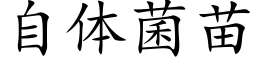 自体菌苗 (楷体矢量字库)