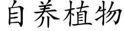 自养植物 (楷体矢量字库)