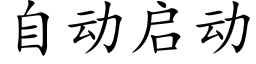 自动启动 (楷体矢量字库)