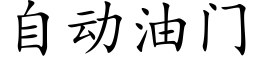 自动油门 (楷体矢量字库)