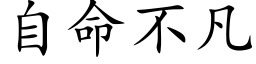 自命不凡 (楷體矢量字庫)