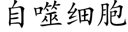 自噬细胞 (楷体矢量字库)