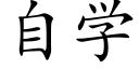 自学 (楷体矢量字库)