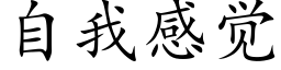 自我感觉 (楷体矢量字库)