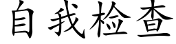 自我檢查 (楷體矢量字庫)