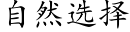 自然选择 (楷体矢量字库)