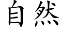 自然 (楷体矢量字库)