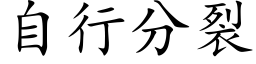 自行分裂 (楷体矢量字库)