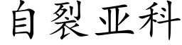 自裂亚科 (楷体矢量字库)