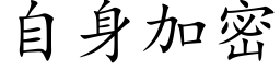 自身加密 (楷体矢量字库)