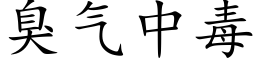 臭氣中毒 (楷體矢量字庫)