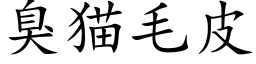 臭貓毛皮 (楷體矢量字庫)