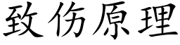 致伤原理 (楷体矢量字库)