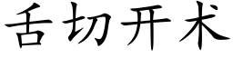 舌切开术 (楷体矢量字库)