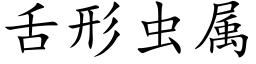 舌形虫属 (楷体矢量字库)