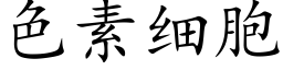 色素细胞 (楷体矢量字库)