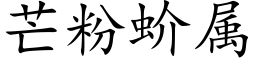 芒粉蚧属 (楷体矢量字库)