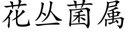 花丛菌属 (楷体矢量字库)