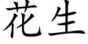 花生 (楷體矢量字庫)