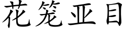 花籠亞目 (楷體矢量字庫)