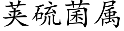 荚硫菌属 (楷体矢量字库)