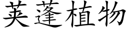 莢蓬植物 (楷體矢量字庫)