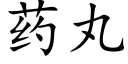 药丸 (楷体矢量字库)