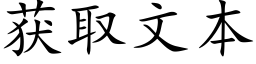 获取文本 (楷体矢量字库)