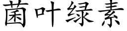 菌叶绿素 (楷体矢量字库)