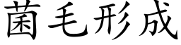 菌毛形成 (楷體矢量字庫)