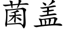 菌盖 (楷体矢量字库)