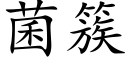 菌簇 (楷体矢量字库)