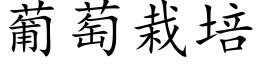 葡萄栽培 (楷体矢量字库)