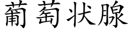 葡萄狀腺 (楷體矢量字庫)