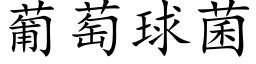 葡萄球菌 (楷体矢量字库)