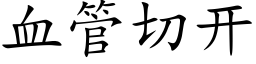 血管切开 (楷体矢量字库)