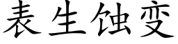 表生蚀变 (楷体矢量字库)