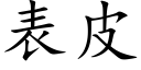 表皮 (楷体矢量字库)