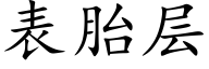 表胎层 (楷体矢量字库)