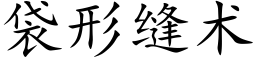 袋形縫術 (楷體矢量字庫)