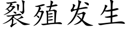 裂殖發生 (楷體矢量字庫)