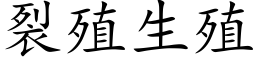 裂殖生殖 (楷體矢量字庫)