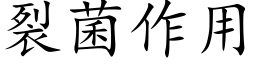 裂菌作用 (楷体矢量字库)