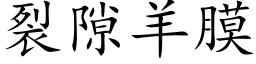 裂隙羊膜 (楷体矢量字库)