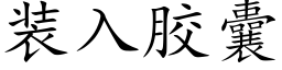 装入胶囊 (楷体矢量字库)